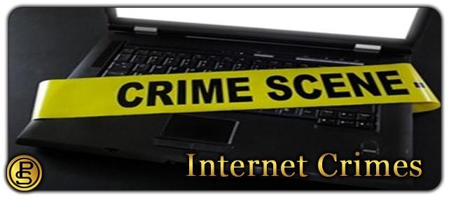 internet crimes lg