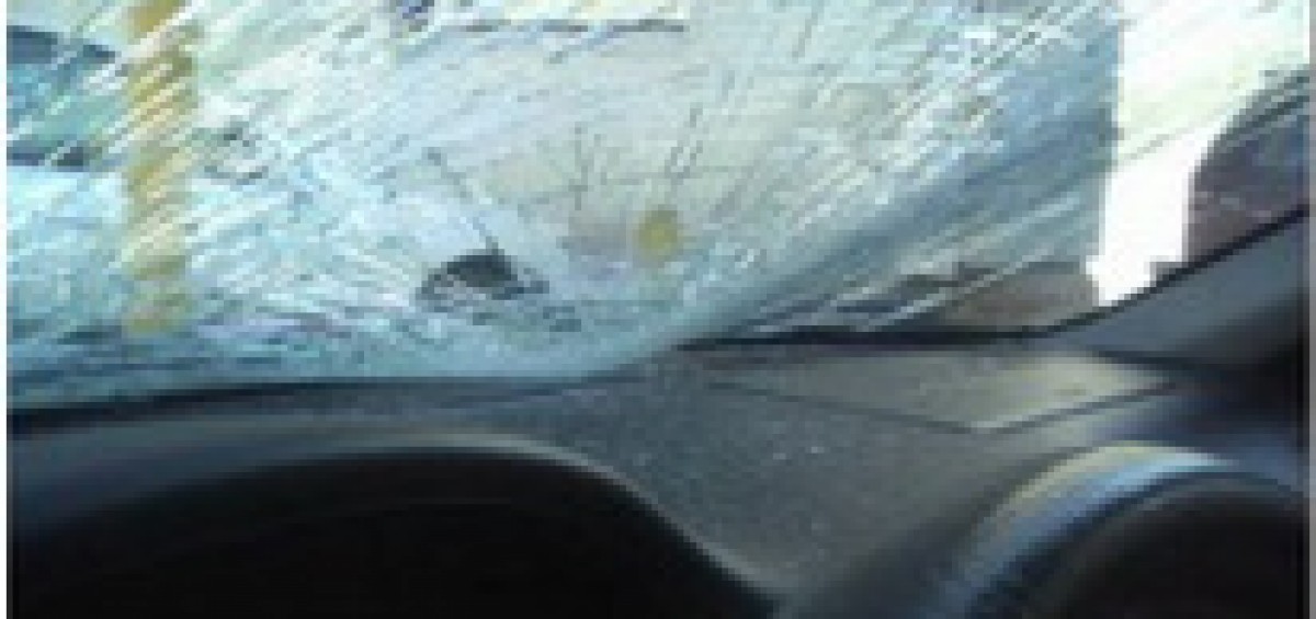 Windshield Window Shattered